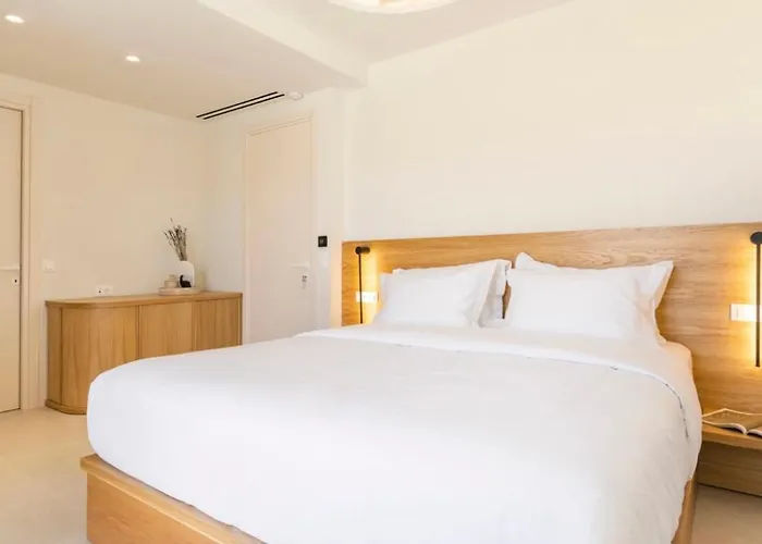 Βίλα Vibe Of Mykonos Ελιά